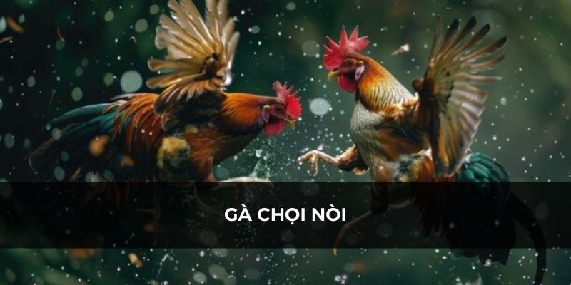 Hình thức đá gà quen thuộc