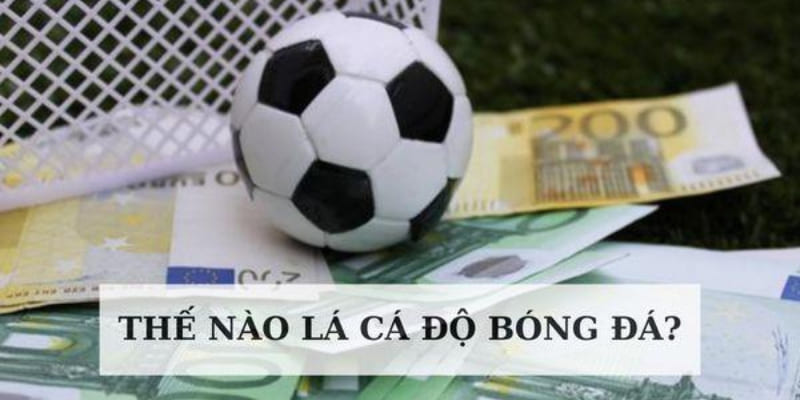 Giải nghĩa sơ bộ về trang cá độ bóng đá Bet88