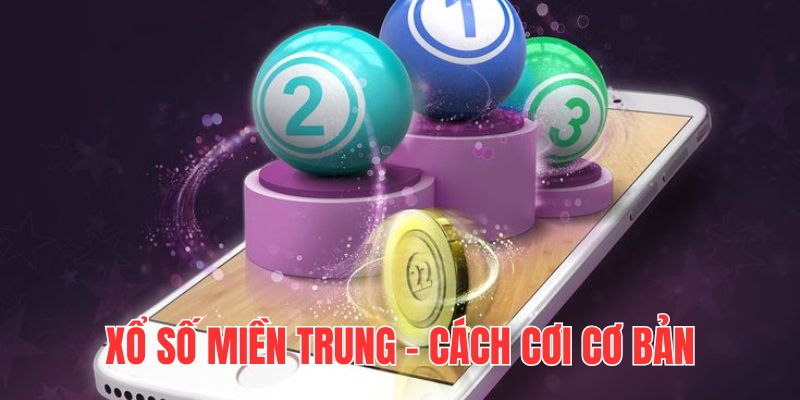 Hướng dẫn cách chơi XSMT chi tiết đối với người mới lần đầu tham gia